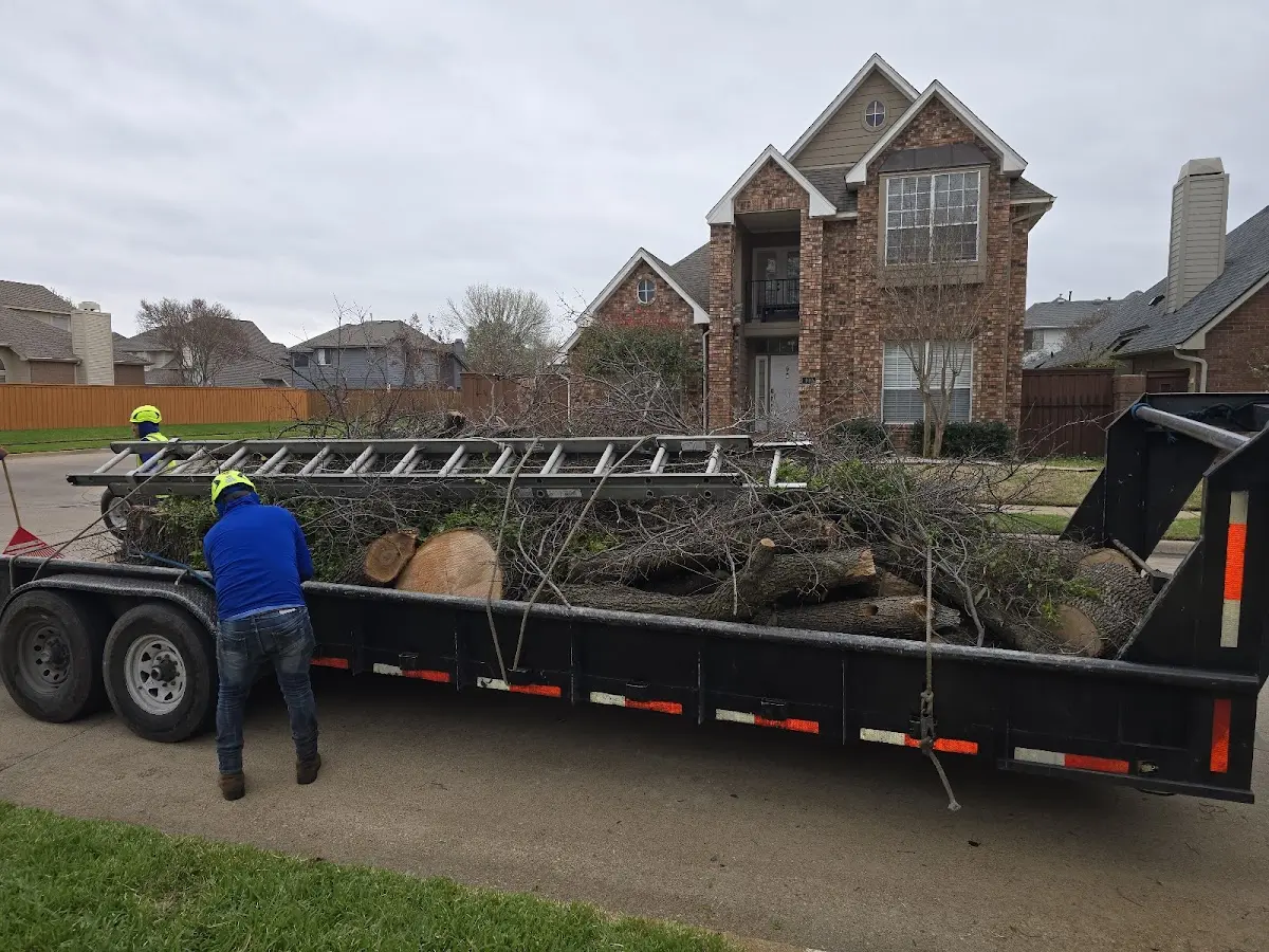 Expert Tree Pest Control with proper safety equipment in Golden Valley